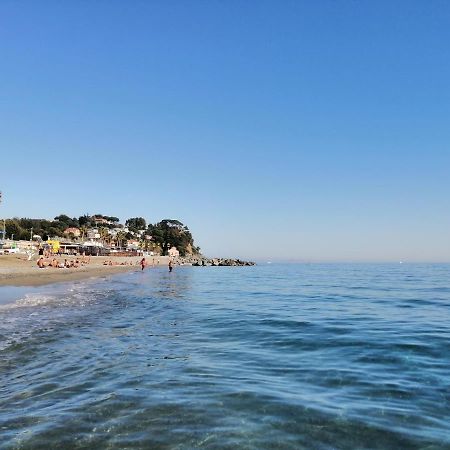 Albergo Blue Fish Albisola Superiore Bagian luar foto